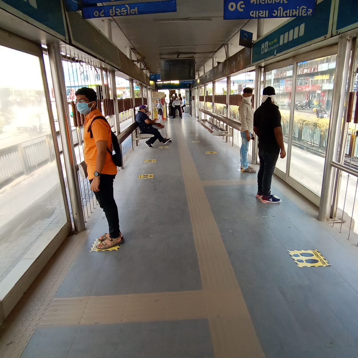 Amur leopard image 13