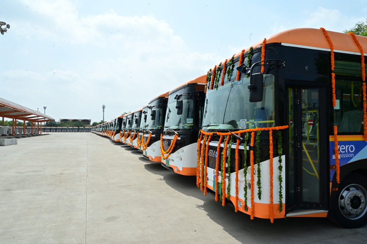 Amur leopard image 15