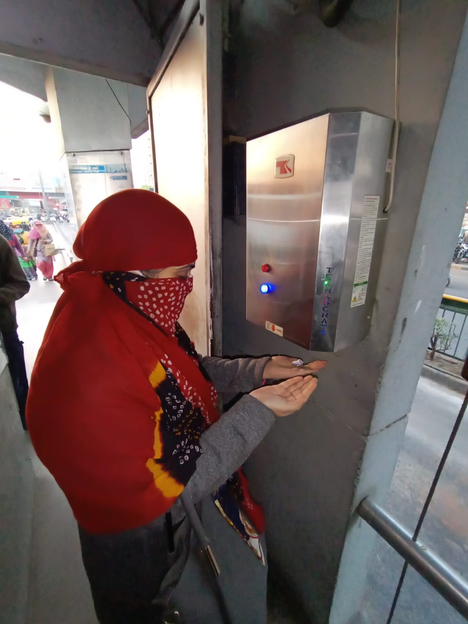 Amur leopard image 17