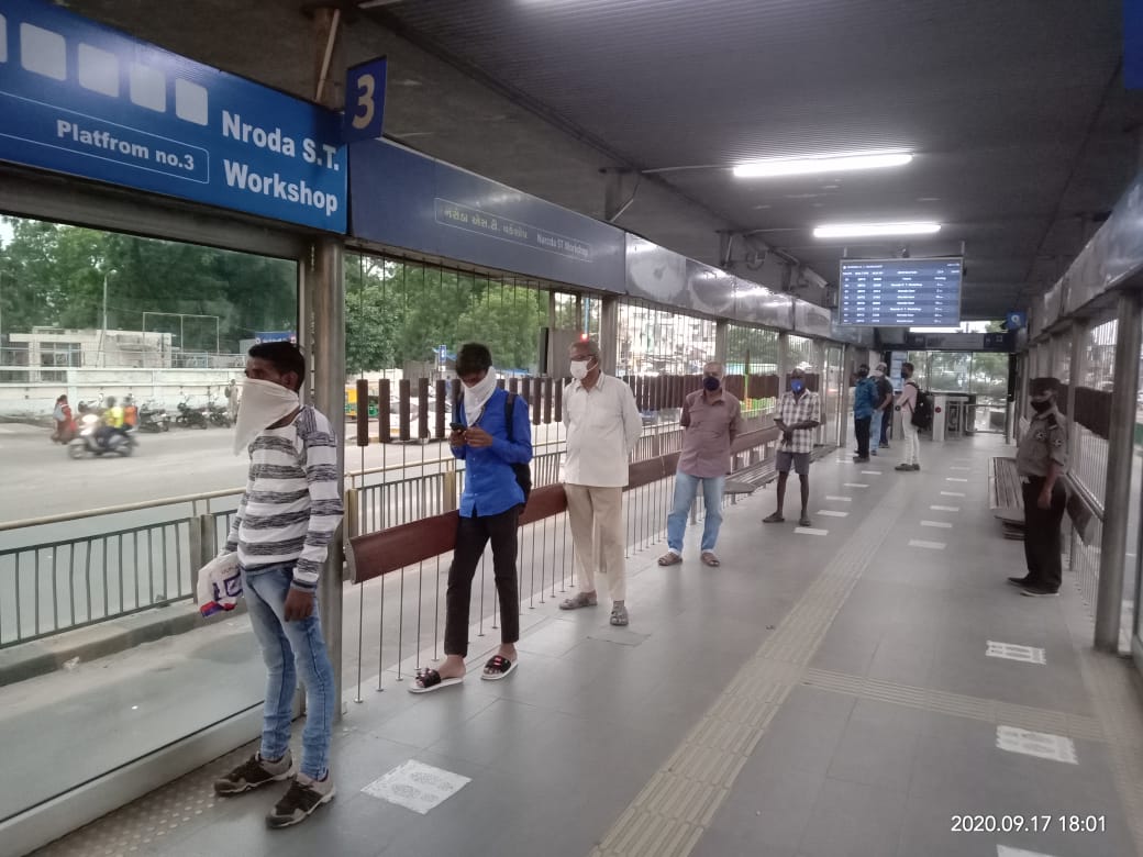 Amur leopard image 18