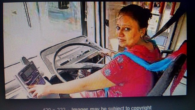 Amur leopard image 22