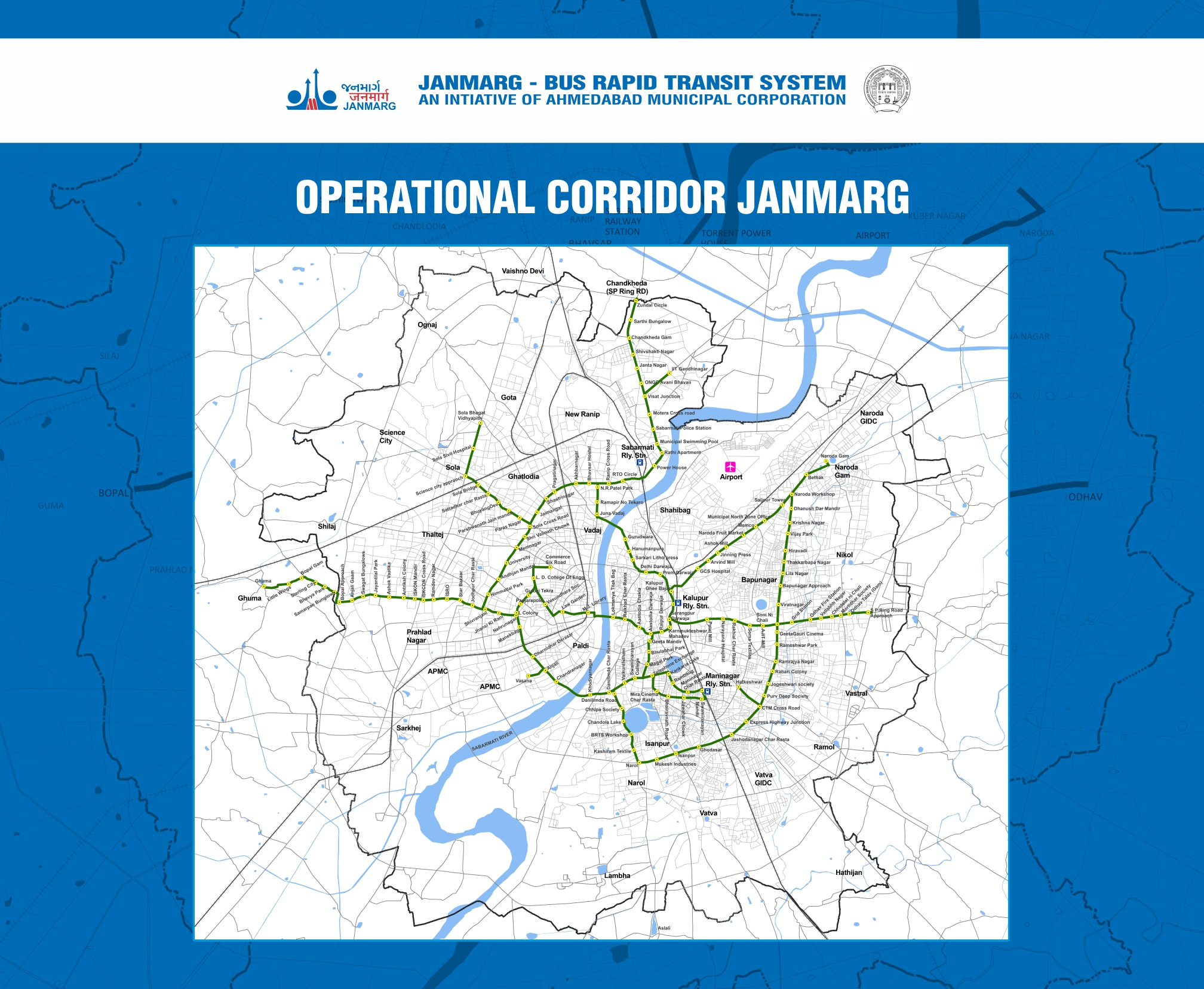 Amur leopard image 32