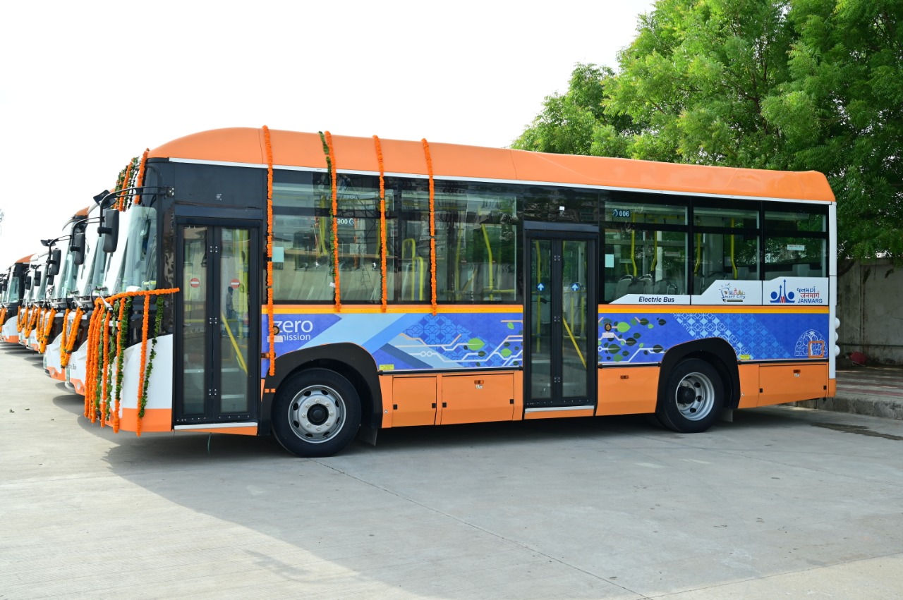 Amur leopard image 34