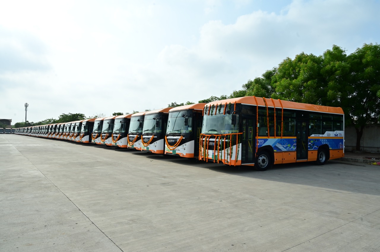 Amur leopard image 6