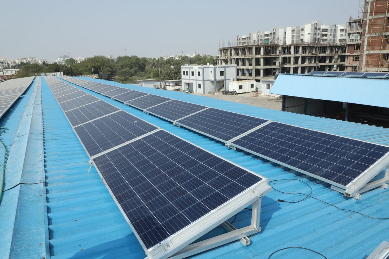 Amur leopard image 7